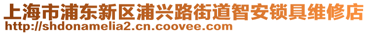 上海市浦東新區(qū)浦興路街道智安鎖具維修店