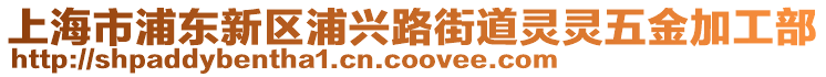 上海市浦東新區(qū)浦興路街道靈靈五金加工部