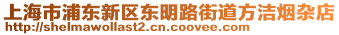 上海市浦東新區(qū)東明路街道方潔煙雜店