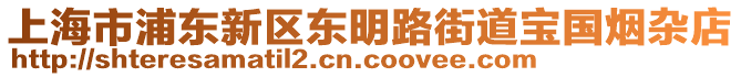 上海市浦東新區(qū)東明路街道寶國(guó)煙雜店