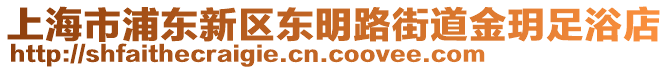 上海市浦東新區(qū)東明路街道金玥足浴店