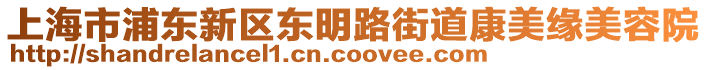 上海市浦東新區(qū)東明路街道康美緣美容院