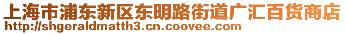 上海市浦東新區(qū)東明路街道廣匯百貨商店