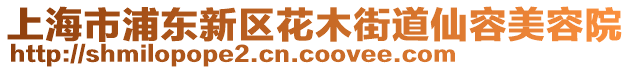 上海市浦東新區(qū)花木街道仙容美容院