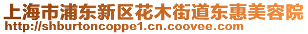 上海市浦東新區(qū)花木街道東惠美容院