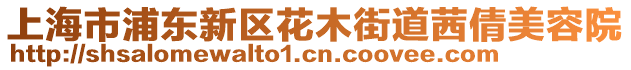 上海市浦東新區(qū)花木街道茜倩美容院