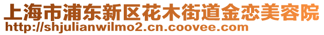 上海市浦東新區(qū)花木街道金戀美容院