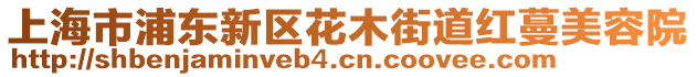 上海市浦東新區(qū)花木街道紅蔓美容院