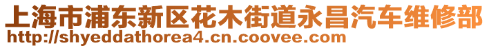 上海市浦東新區(qū)花木街道永昌汽車維修部