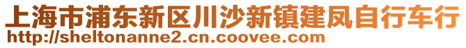 上海市浦東新區(qū)川沙新鎮(zhèn)建鳳自行車(chē)行