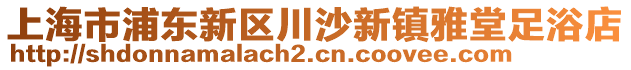 上海市浦東新區(qū)川沙新鎮(zhèn)雅堂足浴店