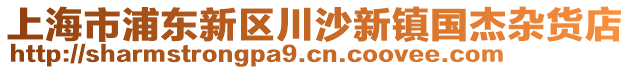 上海市浦東新區(qū)川沙新鎮(zhèn)國杰雜貨店