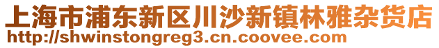 上海市浦東新區(qū)川沙新鎮(zhèn)林雅雜貨店