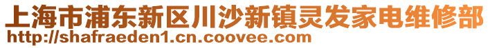 上海市浦東新區(qū)川沙新鎮(zhèn)靈發(fā)家電維修部