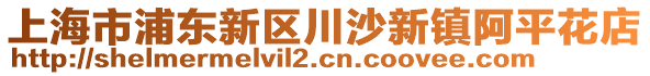 上海市浦東新區(qū)川沙新鎮(zhèn)阿平花店