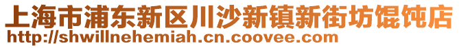 上海市浦東新區(qū)川沙新鎮(zhèn)新街坊餛飩店