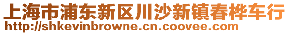 上海市浦東新區(qū)川沙新鎮(zhèn)春樺車行