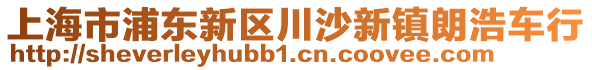 上海市浦東新區(qū)川沙新鎮(zhèn)朗浩車行
