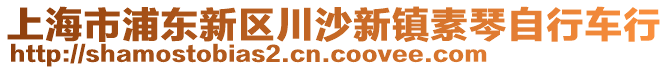 上海市浦東新區(qū)川沙新鎮(zhèn)素琴自行車行