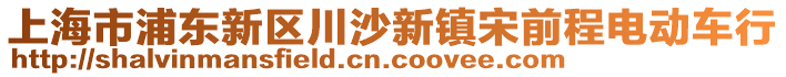 上海市浦東新區(qū)川沙新鎮(zhèn)宋前程電動車行