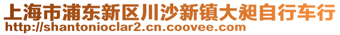 上海市浦東新區(qū)川沙新鎮(zhèn)大昶自行車行