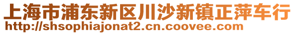 上海市浦東新區(qū)川沙新鎮(zhèn)正萍車行