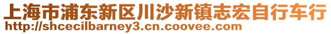 上海市浦東新區(qū)川沙新鎮(zhèn)志宏自行車行