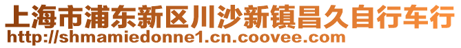 上海市浦東新區(qū)川沙新鎮(zhèn)昌久自行車行