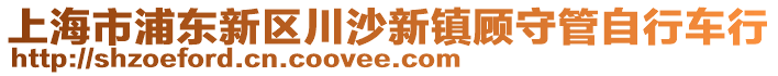 上海市浦東新區(qū)川沙新鎮(zhèn)顧守管自行車行