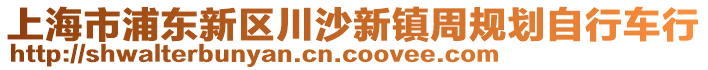 上海市浦東新區(qū)川沙新鎮(zhèn)周規(guī)劃自行車行