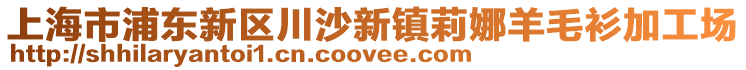 上海市浦東新區(qū)川沙新鎮(zhèn)莉娜羊毛衫加工場