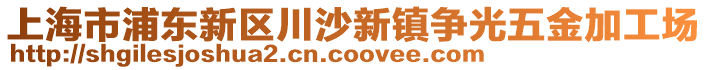 上海市浦東新區(qū)川沙新鎮(zhèn)爭光五金加工場