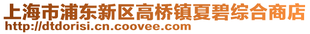 上海市浦東新區(qū)高橋鎮(zhèn)夏碧綜合商店