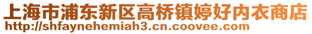 上海市浦東新區(qū)高橋鎮(zhèn)婷好內(nèi)衣商店