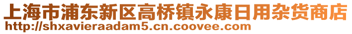 上海市浦東新區(qū)高橋鎮(zhèn)永康日用雜貨商店