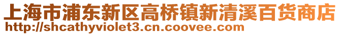 上海市浦東新區(qū)高橋鎮(zhèn)新清溪百貨商店