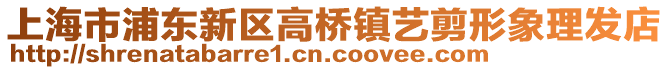 上海市浦東新區(qū)高橋鎮(zhèn)藝剪形象理發(fā)店