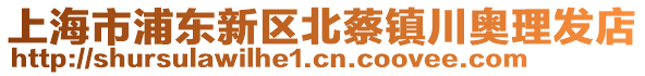 上海市浦東新區(qū)北蔡鎮(zhèn)川奧理發(fā)店