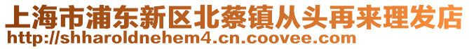 上海市浦東新區(qū)北蔡鎮(zhèn)從頭再來(lái)理發(fā)店