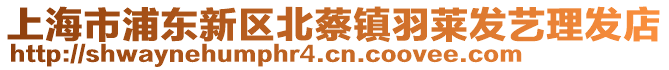 上海市浦東新區(qū)北蔡鎮(zhèn)羽萊發(fā)藝理發(fā)店