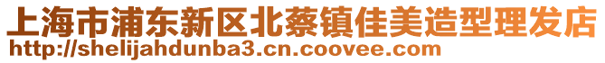 上海市浦東新區(qū)北蔡鎮(zhèn)佳美造型理發(fā)店