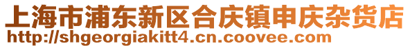 上海市浦東新區(qū)合慶鎮(zhèn)申慶雜貨店