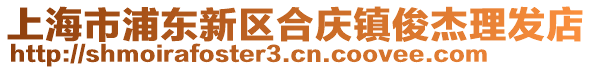 上海市浦東新區(qū)合慶鎮(zhèn)俊杰理發(fā)店