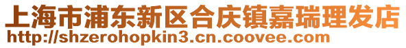 上海市浦東新區(qū)合慶鎮(zhèn)嘉瑞理發(fā)店