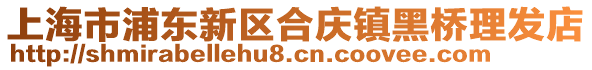 上海市浦東新區(qū)合慶鎮(zhèn)黑橋理發(fā)店