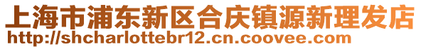 上海市浦東新區(qū)合慶鎮(zhèn)源新理發(fā)店