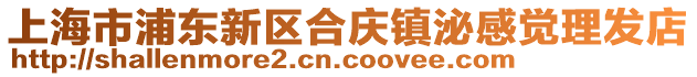 上海市浦東新區(qū)合慶鎮(zhèn)泌感覺理發(fā)店