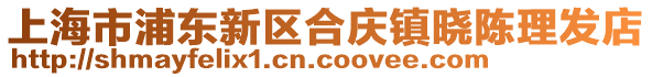 上海市浦東新區(qū)合慶鎮(zhèn)曉陳理發(fā)店