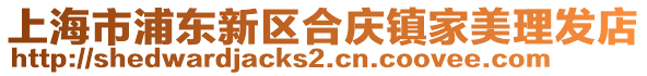 上海市浦東新區合慶鎮家美理發店