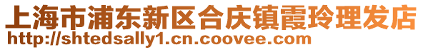 上海市浦東新區(qū)合慶鎮(zhèn)霞玲理發(fā)店